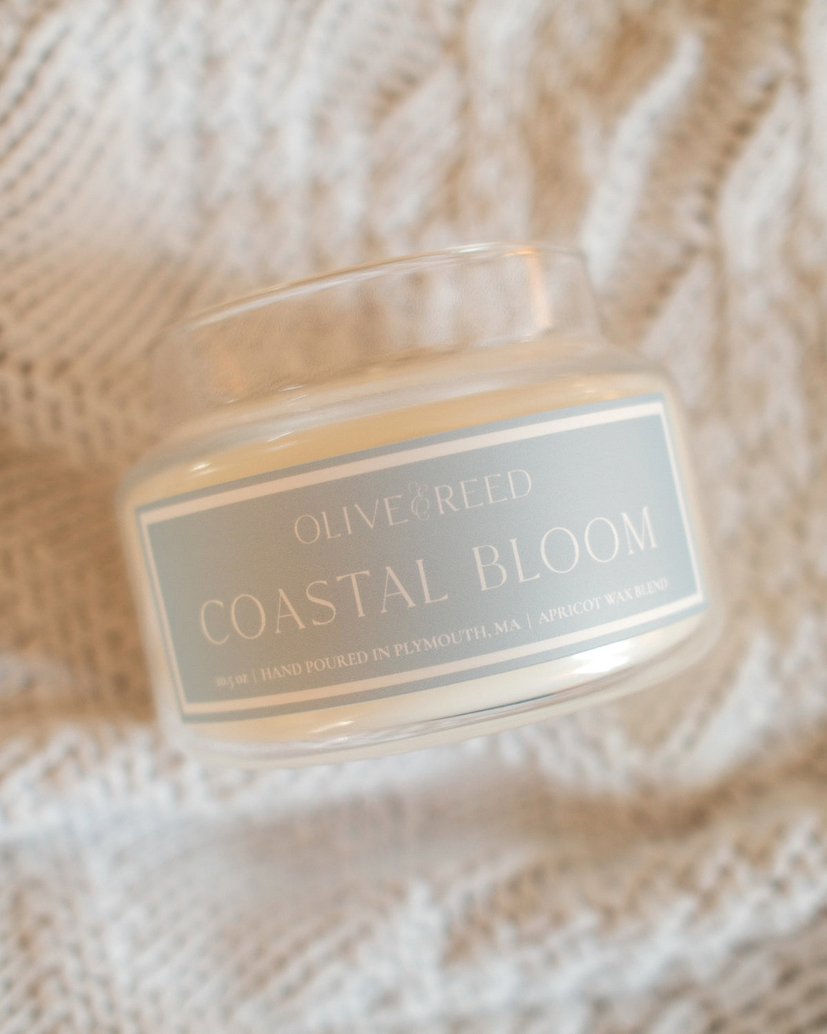 Coastal Bloom